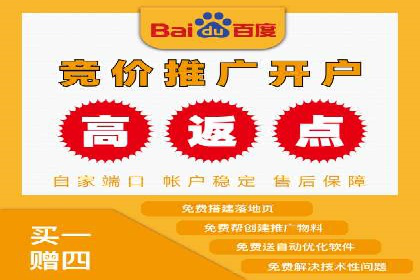 充值返点案例分析：实战操作技巧